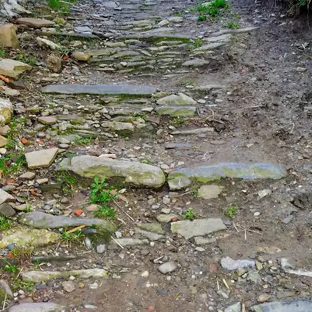 Ca' Del Pitur
